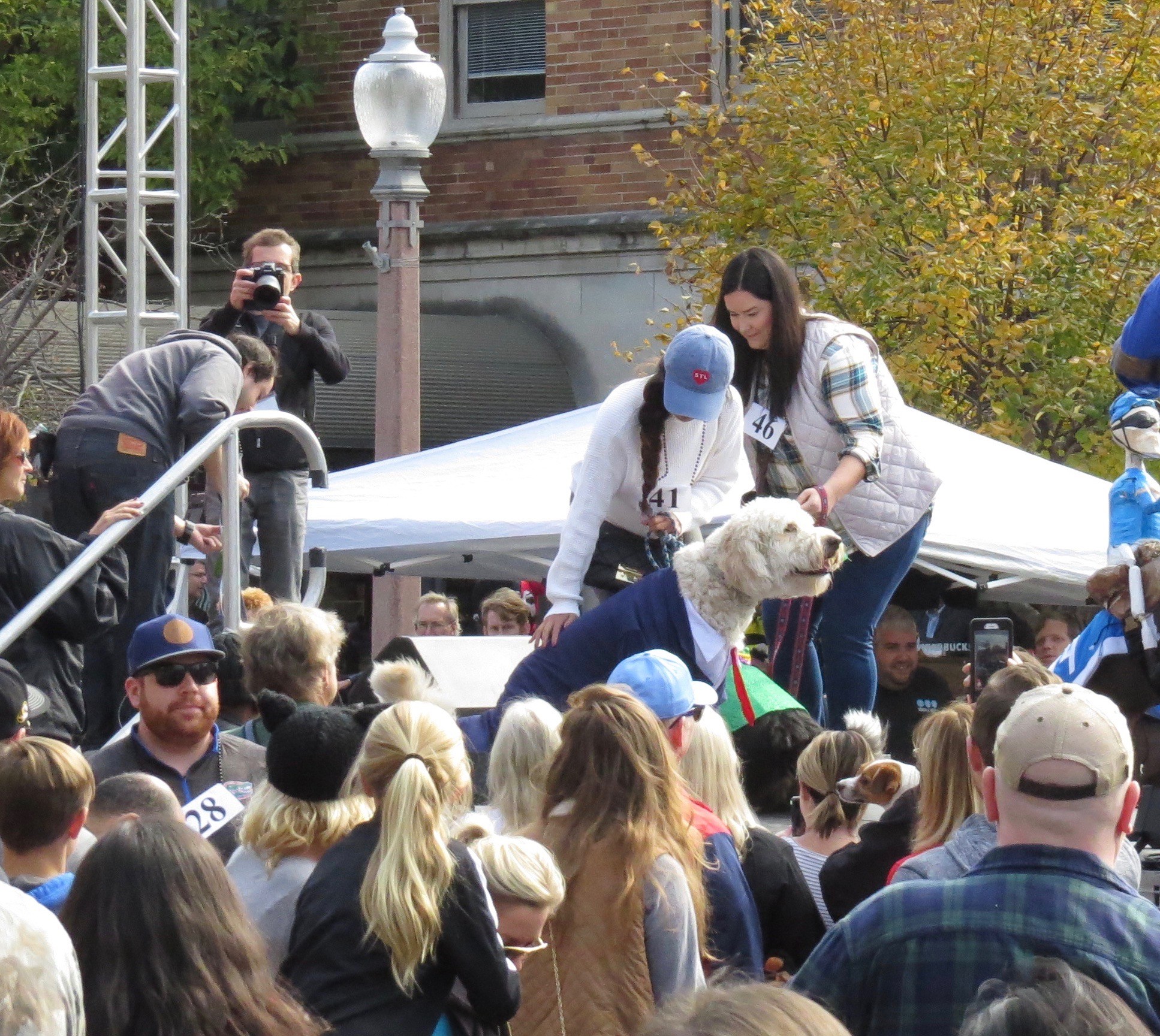 Halloween in the CWE Pets on Parade Part II Nicki's Central West End